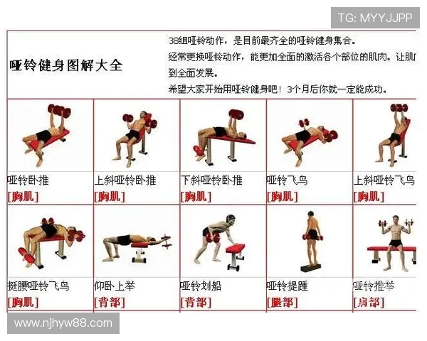 健身入门到进阶全攻略打造健康体魄从基础动作到高效训练方法详解