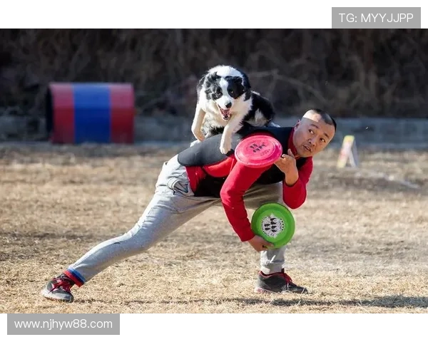 飞盘灵活性排名揭晓北京飞盘队表现优异创历史新高